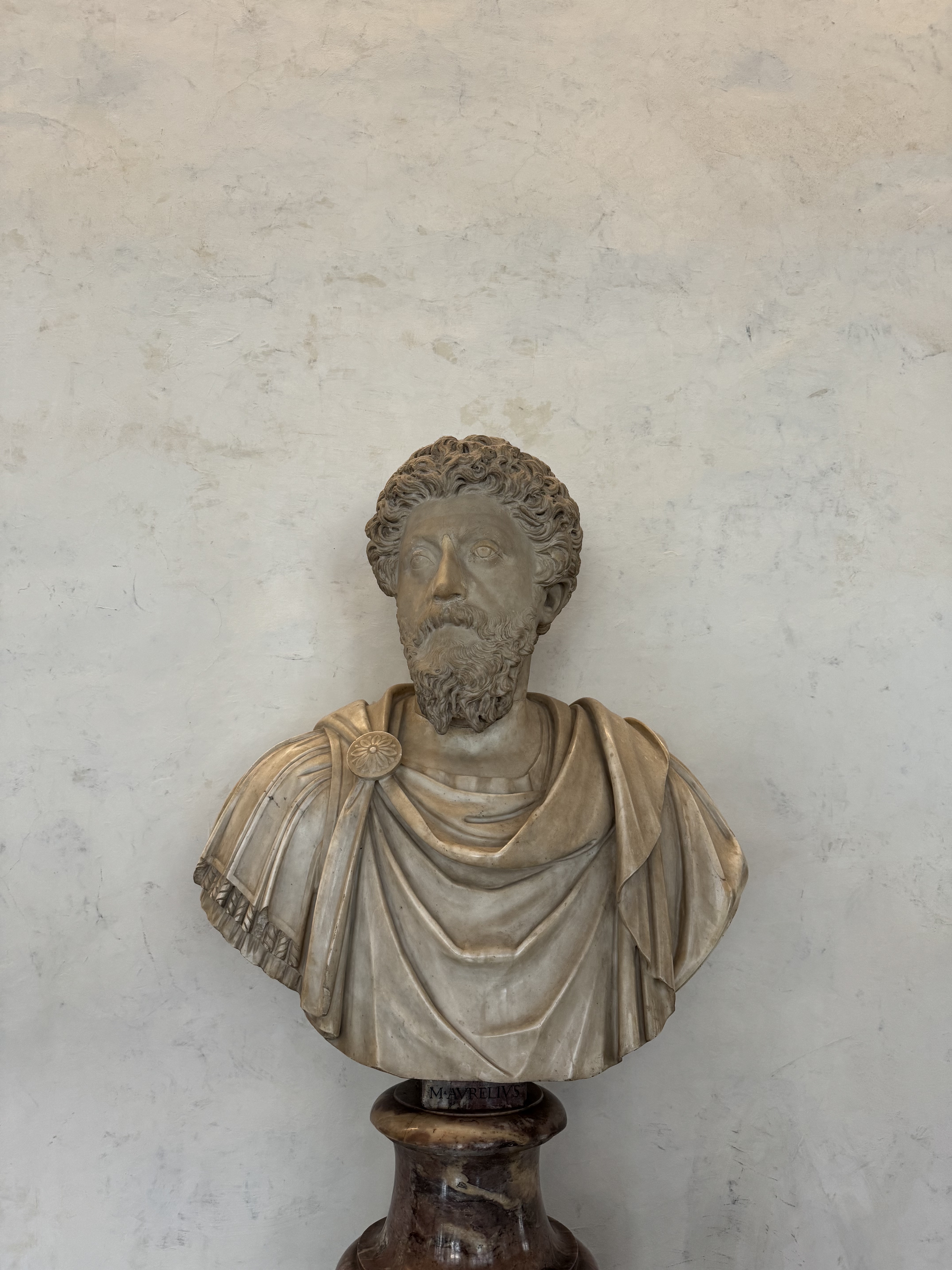 Aurelius Bust