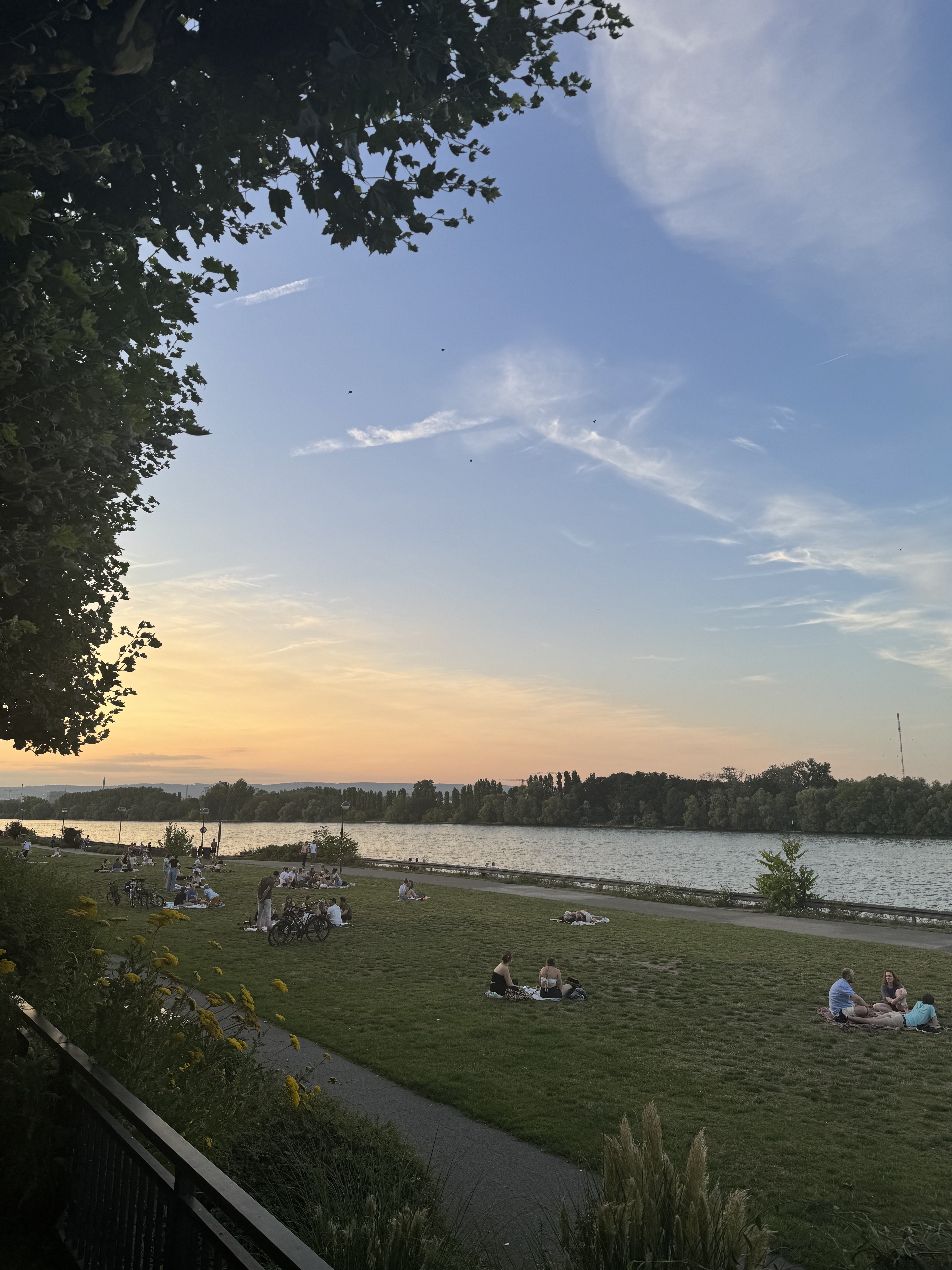 Mainz River