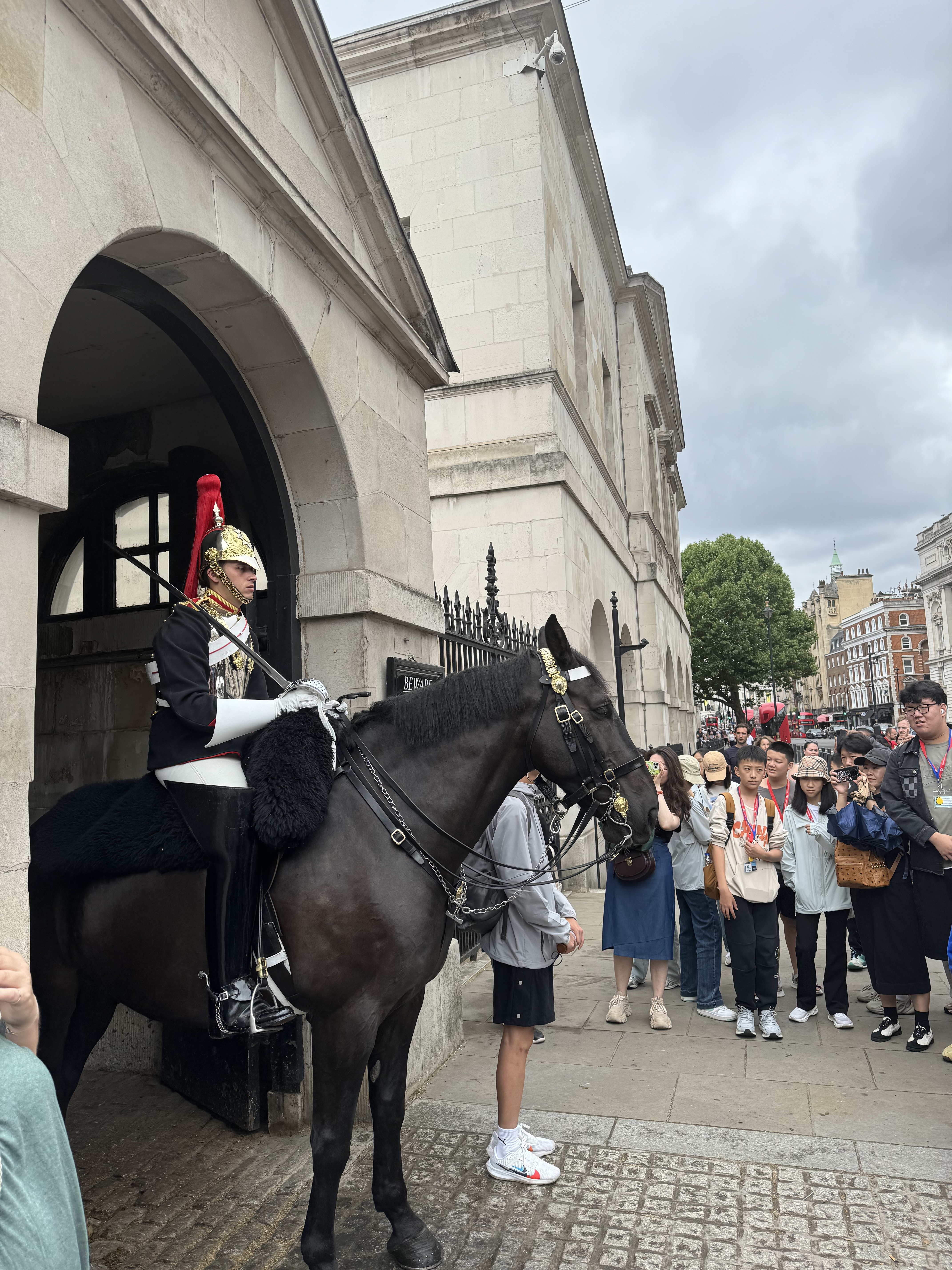 Horse Guard