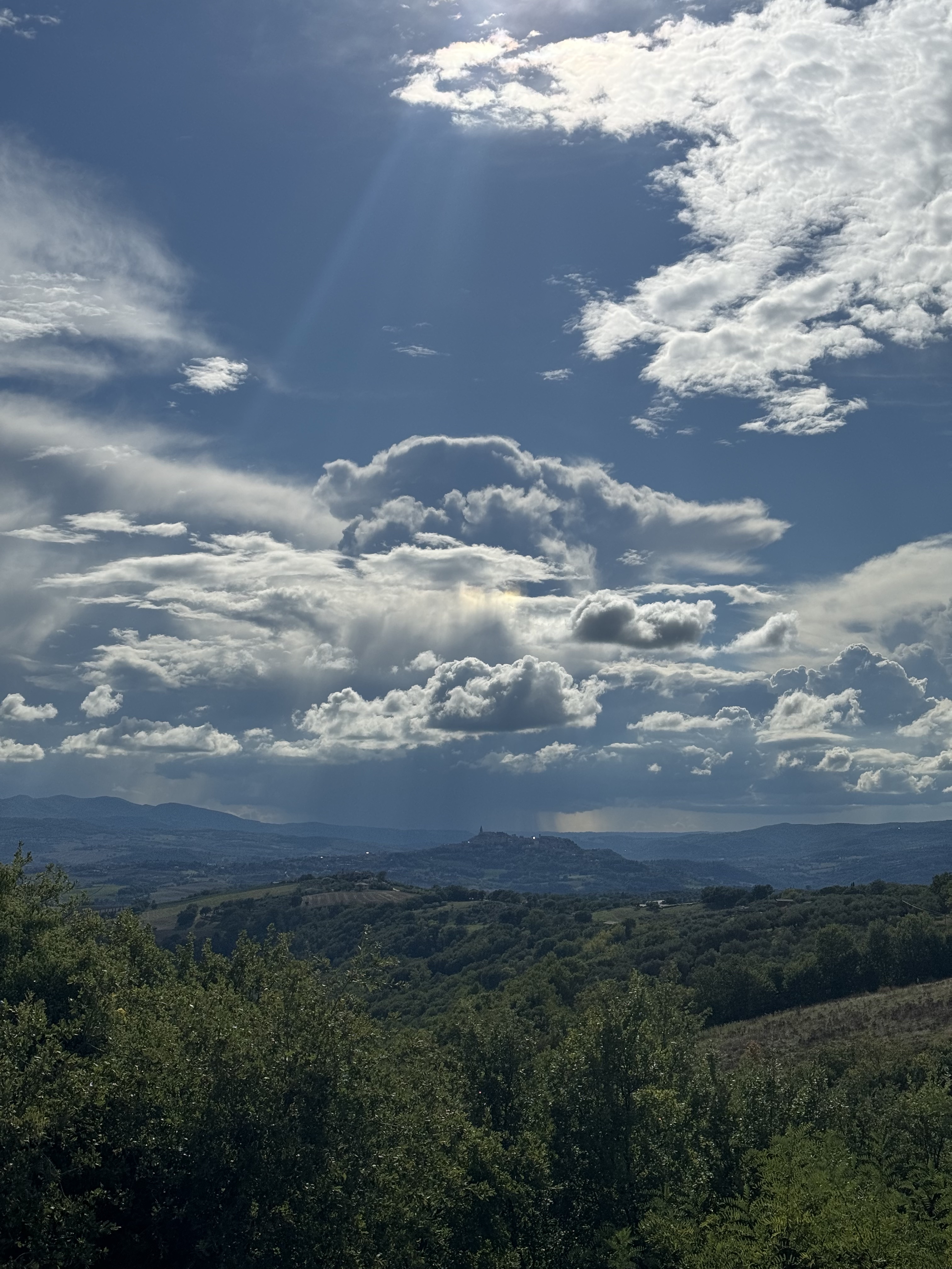 Winery View